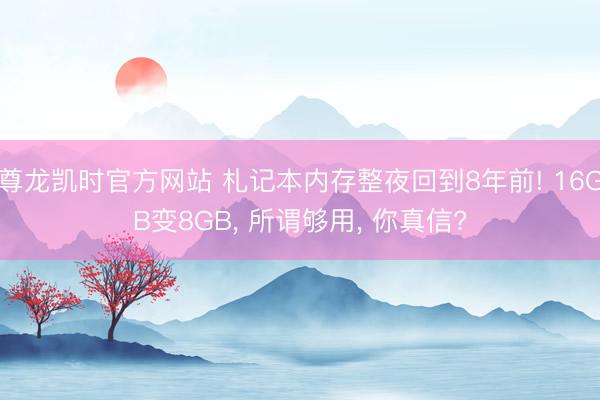 尊龙凯时官方网站 札记本内存整夜回到8年前! 16GB变8GB， 所谓够用， 你真信?