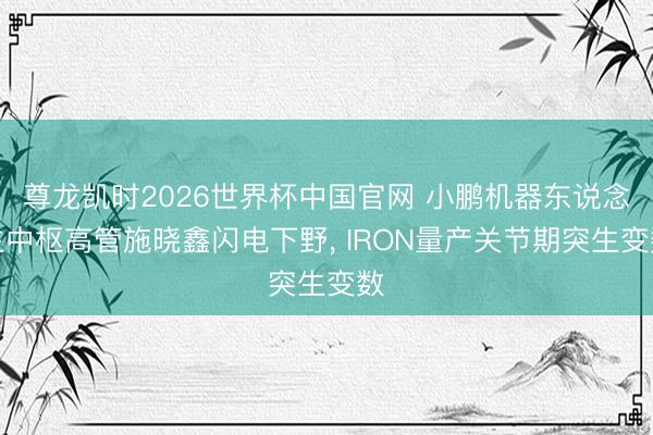 尊龙凯时2026世界杯中国官网 小鹏机器东说念主中枢高管施晓鑫闪电下野， IRON量产关节期突生变数