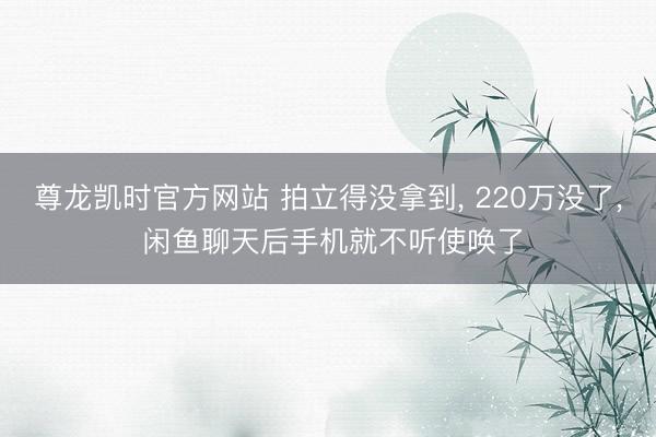 尊龙凯时官方网站 拍立得没拿到， 220万没了， 闲鱼聊天后手机就不听使唤了