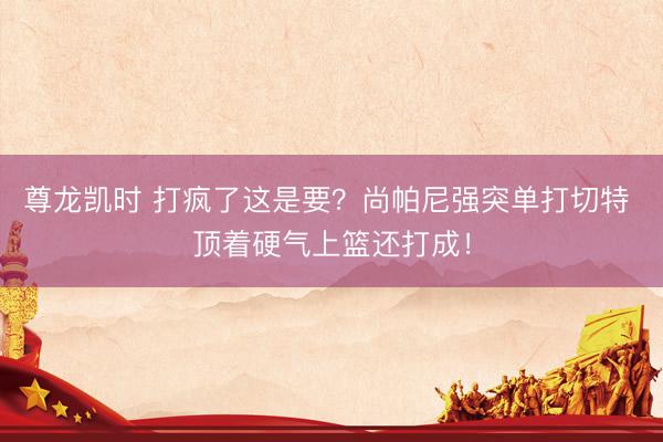 尊龙凯时 打疯了这是要？尚帕尼强突单打切特 顶着硬气上篮还打成！