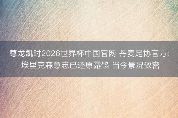 尊龙凯时2026世界杯中国官网 丹麦足协官方: 埃里克森意志已还原露馅 当今景况致密