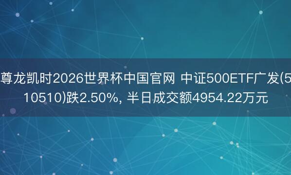 尊龙凯时2026世界杯中国官网 中证500ETF广发(510