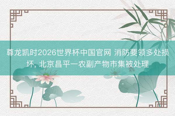 尊龙凯时2026世界杯中国官网 消防要领多处损坏， 北京昌平一农副产物市集被处理