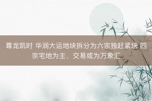 尊龙凯时 华润大运地块拆分为六宗独赶紧块 四宗宅地为主、交易或为万象汇