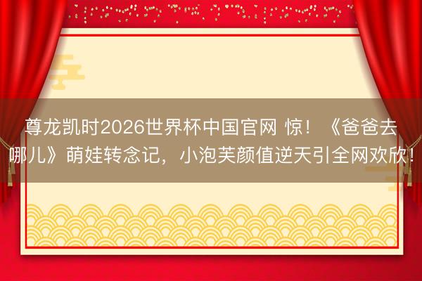 尊龙凯时2026世界杯中国官网 惊!《爸爸去哪儿》萌娃转念记,小泡芙颜值逆天引全网欢欣!