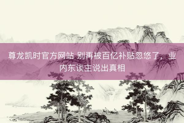 尊龙凯时官方网站 别再被百亿补贴忽悠了，业内东谈主说出真相