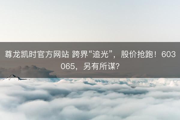 尊龙凯时官方网站 跨界“追光”,股价抢跑!603065,另有所谋?