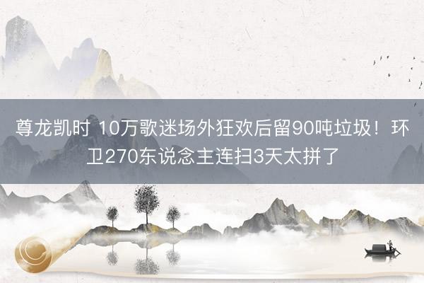 尊龙凯时 10万歌迷场外狂欢后留90吨垃圾！环卫270东说念主连扫3天太拼了