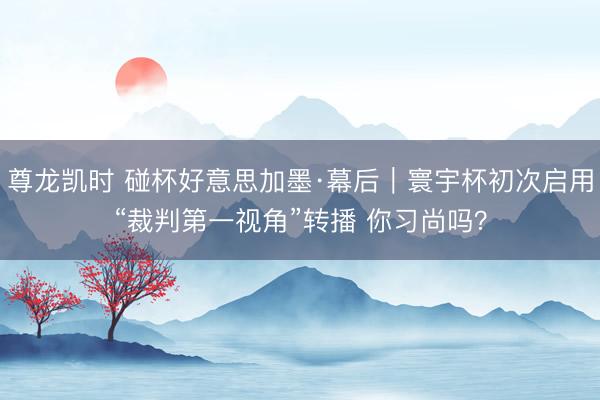 尊龙凯时 碰杯好意思加墨·幕后｜寰宇杯初次启用“裁判第一视角”转播 你习尚吗？