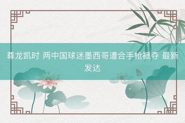 尊龙凯时 两中国球迷墨西哥遭合手枪褫夺 最新发达