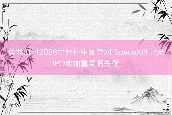 尊龙凯时2026世界杯中国官网 SpaceX创记录IPO或加重阛阓失衡