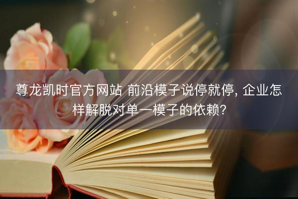 尊龙凯时官方网站 前沿模子说停就停， 企业怎样解脱对单一模子的依赖?