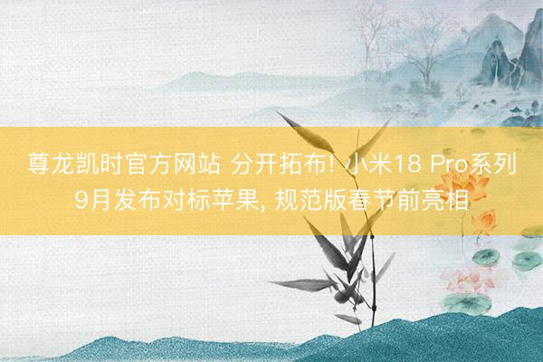 尊龙凯时官方网站 分开拓布! 小米18 Pro系列9月发布对标苹果， 规范版春节前亮相