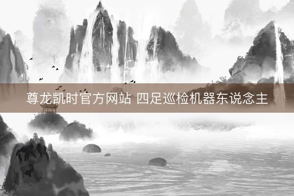 尊龙凯时官方网站 四足巡检机器东说念主