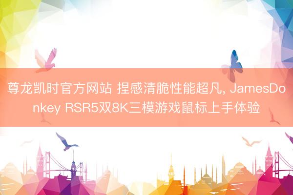 尊龙凯时官方网站 捏感清脆性能超凡， JamesDonkey RSR5双8K三模游戏鼠标上手体验