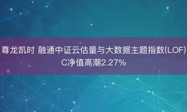 尊龙凯时 融通中证云估量与大数据主题指数(LOF)C净值高潮2.27%